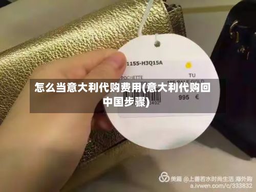 怎么当意大利代购费用(意大利代购回中国步骤)-第1张图片