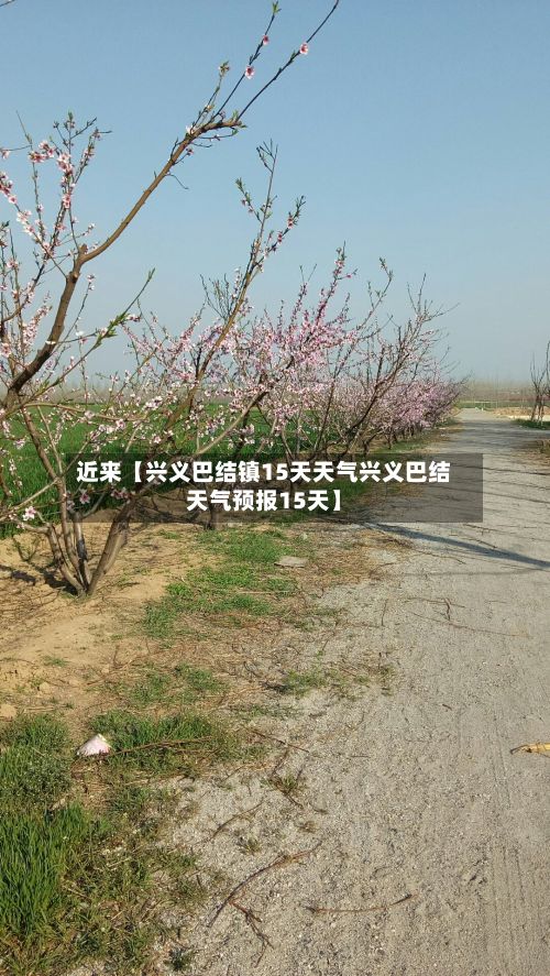 近来【兴义巴结镇15天天气兴义巴结天气预报15天】-第1张图片