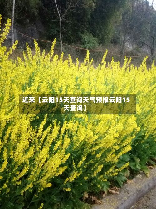 近来【云阳15天查询天气预报云阳15天查询】-第1张图片