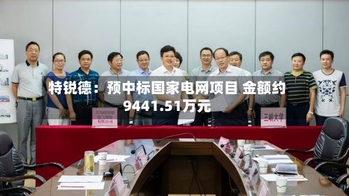 特锐德:预中标国家电网项目 金额约9441.51万元-第1张图片