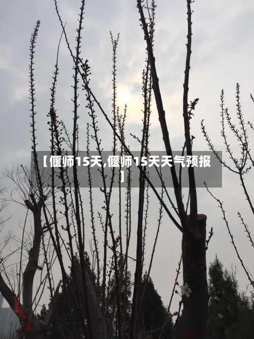 【偃师15天,偃师15天天气预报】-第1张图片