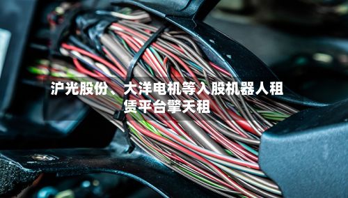 沪光股份、大洋电机等入股机器人租赁平台擎天租-第1张图片