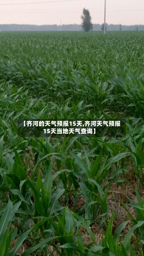 【齐河的天气预报15天,齐河天气预报15天当地天气查询】-第1张图片