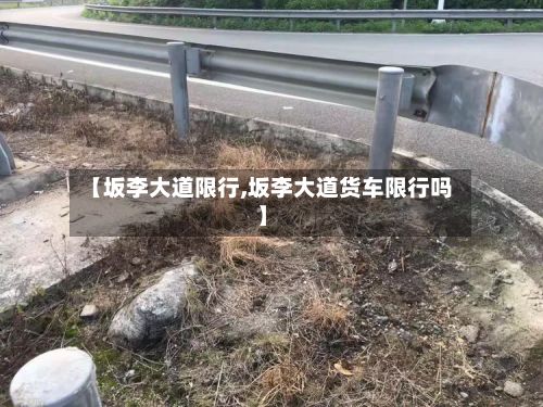【坂李大道限行,坂李大道货车限行吗】-第1张图片