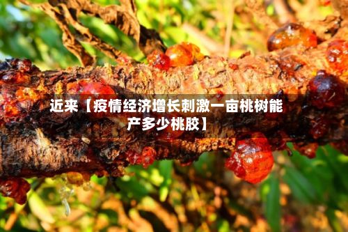 近来【疫情经济增长刺激一亩桃树能产多少桃胶】-第1张图片