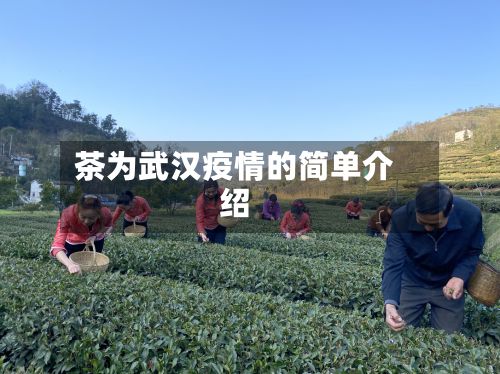 茶为武汉疫情的简单介绍-第1张图片