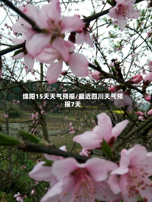 绵阳15天天气预报/最近四川天气预报7天-第1张图片