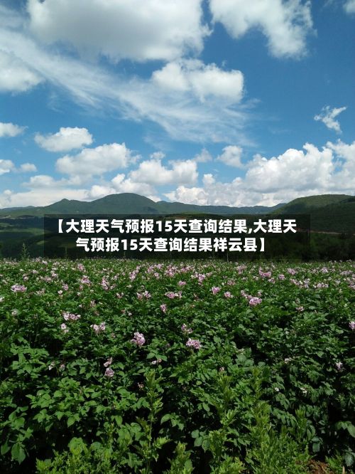 【大理天气预报15天查询结果,大理天气预报15天查询结果祥云县】-第1张图片