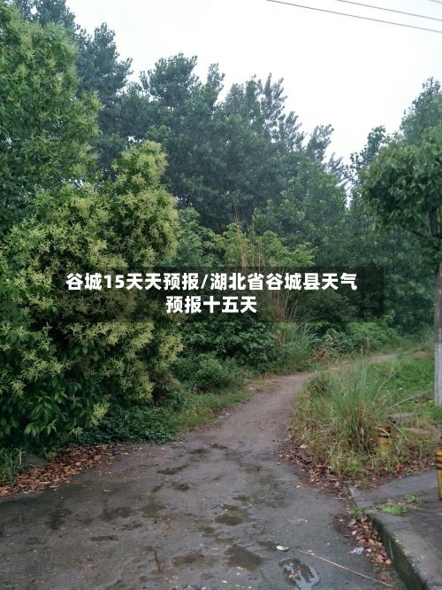 谷城15天天预报/湖北省谷城县天气预报十五天-第1张图片