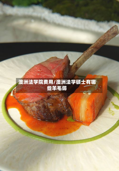 澳洲法学院费用/澳洲法学硕士有哪些羊毛薅-第1张图片