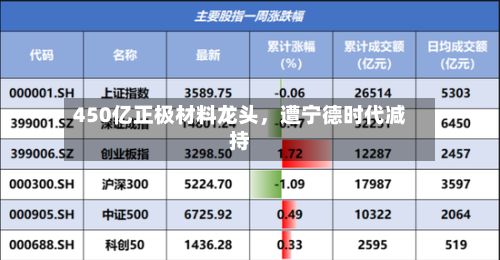 450亿正极材料龙头，遭宁德时代减持-第1张图片