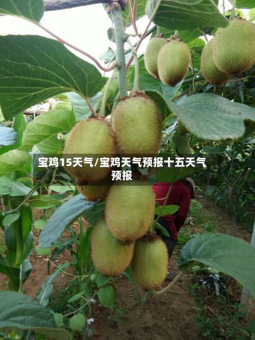 宝鸡15天气/宝鸡天气预报十五天气预报-第1张图片