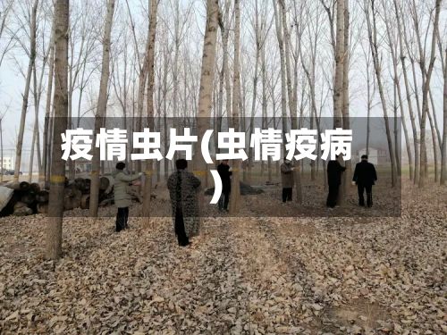 疫情虫片(虫情疫病)-第1张图片