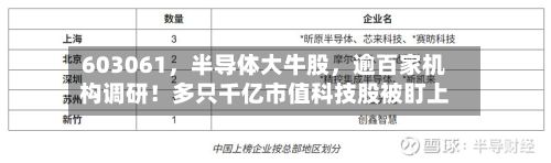 603061	，半导体大牛股，逾百家机构调研！多只千亿市值科技股被盯上-第1张图片