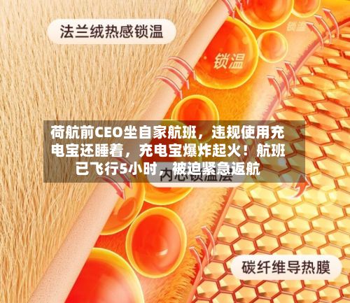 荷航前CEO坐自家航班，违规使用充电宝还睡着	，充电宝爆炸起火！航班已飞行5小时，被迫紧急返航-第1张图片