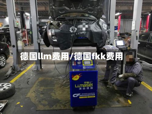 德国llm费用/德国fkk费用-第1张图片