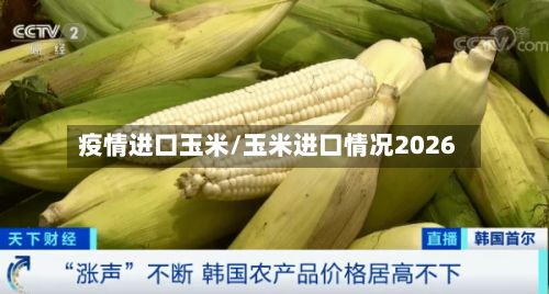 疫情进口玉米/玉米进口情况2026-第1张图片