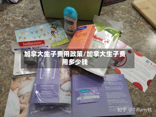 加拿大生子费用政策/加拿大生子费用多少钱-第1张图片