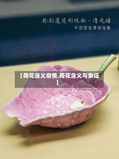 【荷花含义疫情,荷花含义与象征】-第1张图片