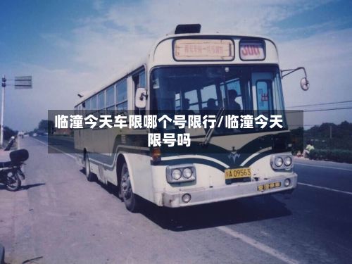 临潼今天车限哪个号限行/临潼今天限号吗-第1张图片